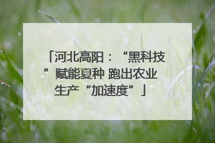 河北高阳：“黑科技”赋能夏种 跑出农业生产“加速度”