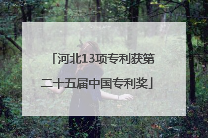 河北13项专利获第二十五届中国专利奖