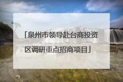 泉州市领导赴台商投资区调研重点招商项目