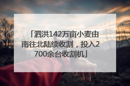 泗洪142万亩小麦由南往北陆续收割，投入2700余台收割机
