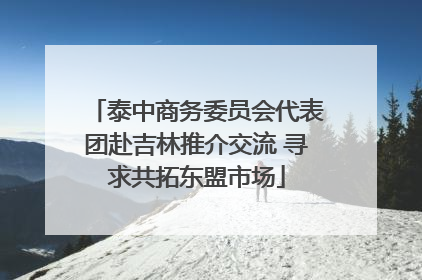 泰中商务委员会代表团赴吉林推介交流 寻求共拓东盟市场