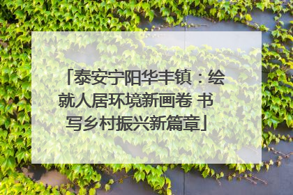 泰安宁阳华丰镇：绘就人居环境新画卷 书写乡村振兴新篇章