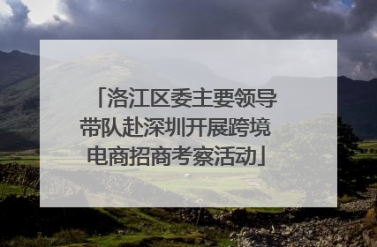 洛江区委主要领导带队赴深圳开展跨境电商招商考察活动