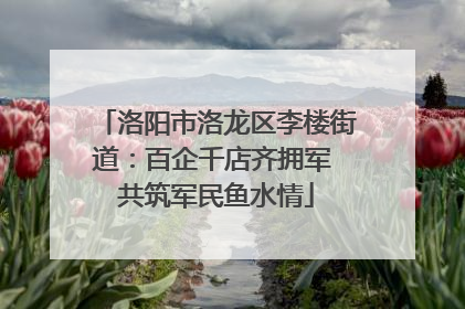 洛阳市洛龙区李楼街道：百企千店齐拥军 共筑军民鱼水情