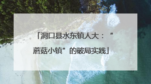 洞口县水东镇人大：“蘑菇小镇”的破局实践