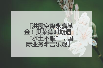 洪霞空降永赢基金！贝莱德时期遇“水土不服”，国际业务难言乐观