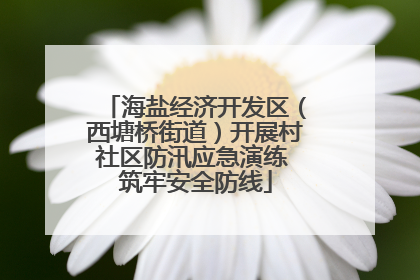 海盐经济开发区（西塘桥街道）开展村社区防汛应急演练 筑牢安全防线