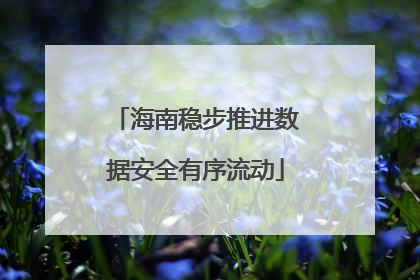海南稳步推进数据安全有序流动