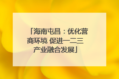海南屯昌：优化营商环境 促进一二三产业融合发展