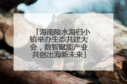 海南陵水海归小镇举办生态共建大会，数智赋能产业共创出海新未来