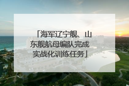 海军辽宁舰、山东舰航母编队完成实战化训练任务