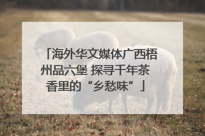 海外华文媒体广西梧州品六堡 探寻千年茶香里的“乡愁味”