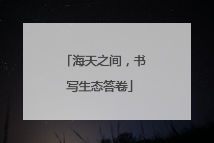 海天之间，书写生态答卷
