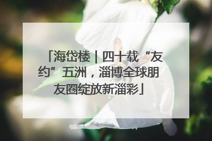 海岱楼｜四十载“友约”五洲，淄博全球朋友圈绽放新淄彩