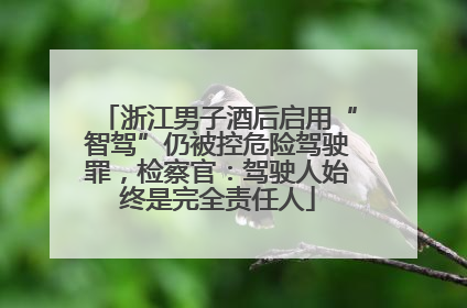 浙江男子酒后启用“智驾”仍被控危险驾驶罪，检察官：驾驶人始终是完全责任人