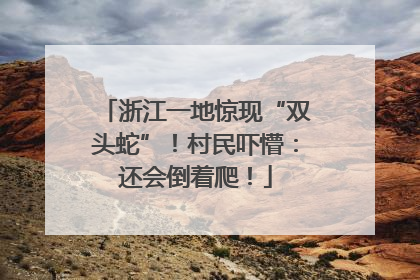 浙江一地惊现“双头蛇”！村民吓懵：还会倒着爬！