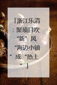浙江乐清：聚项目吹“新”风 “海边小镇”成“热土”