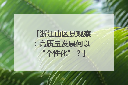 浙江山区县观察：高质量发展何以“个性化”？