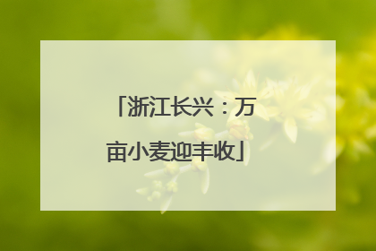 浙江长兴：万亩小麦迎丰收