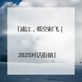 浦江，低空起飞｜2025对话街镇
