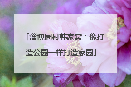 淄博周村韩家窝：像打造公园一样打造家园