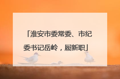 淮安市委常委、市纪委书记岳岭，履新职