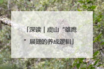 深读｜虞山“雄鹰”展翅的养成逻辑