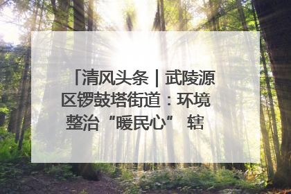 清风头条｜武陵源区锣鼓塔街道：环境整治“暖民心” 辖区面貌“靓”起来