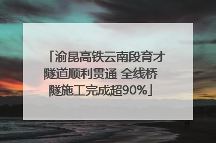 渝昆高铁云南段育才隧道顺利贯通 全线桥隧施工完成超90%