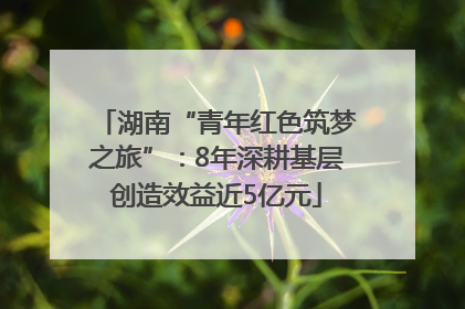 湖南“青年红色筑梦之旅”：8年深耕基层创造效益近5亿元