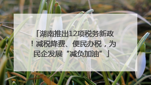 湖南推出12项税务新政！减税降费、便民办税，为民企发展“减负加油”