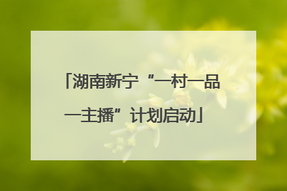 湖南新宁“一村一品一主播”计划启动