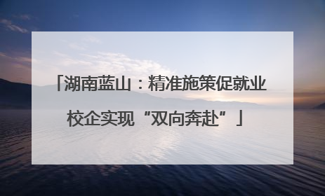湖南蓝山：精准施策促就业 校企实现“双向奔赴”