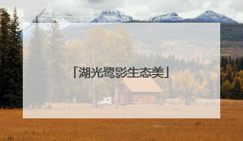 湖光鹭影生态美