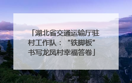湖北省交通运输厅驻村工作队：“铁脚板”书写龙凤村幸福答卷