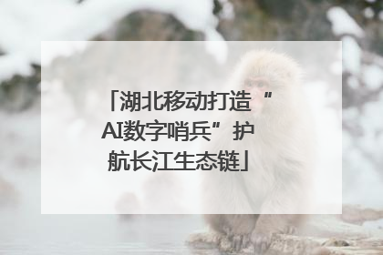 湖北移动打造“AI数字哨兵”护航长江生态链