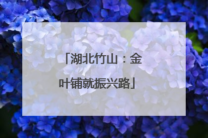 湖北竹山：金叶铺就振兴路