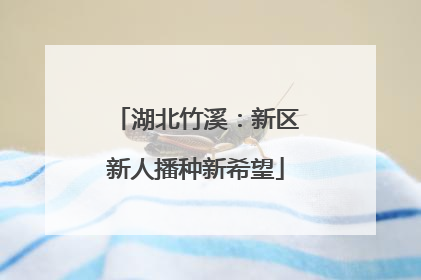 湖北竹溪：新区新人播种新希望