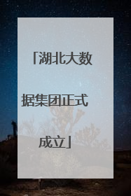 湖北大数据集团正式成立
