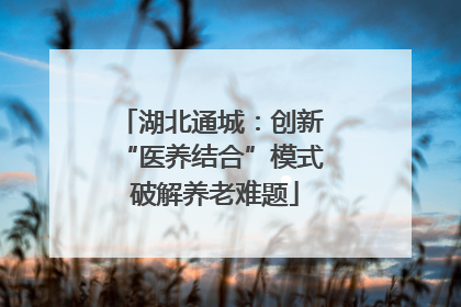 湖北通城：创新 “医养结合”模式 破解养老难题