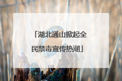 湖北通山掀起全民禁毒宣传热潮
