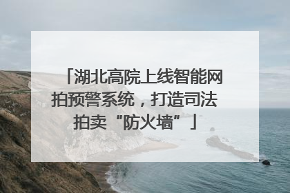 湖北高院上线智能网拍预警系统，打造司法拍卖“防火墙”