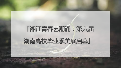 湘江青春艺潮涌：第六届湖南高校毕业季美展启幕