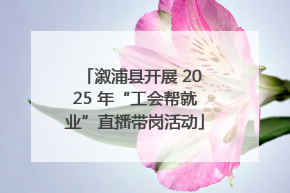 溆浦县开展 2025 年“工会帮就业”直播带岗活动