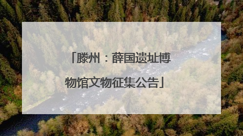 滕州：薛国遗址博物馆文物征集公告