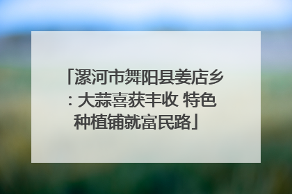 漯河市舞阳县姜店乡：大蒜喜获丰收 特色种植铺就富民路