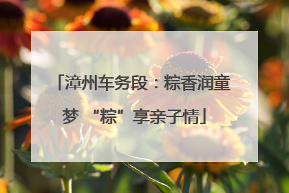 漳州车务段：粽香润童梦 “粽”享亲子情
