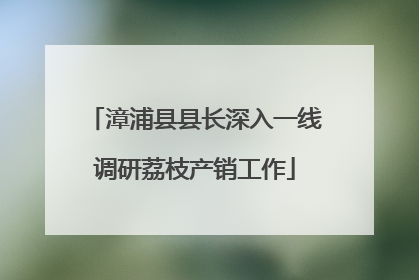 漳浦县县长深入一线调研荔枝产销工作