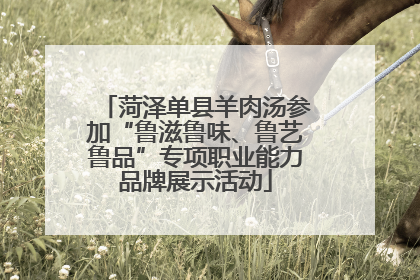 菏泽单县羊肉汤参加“鲁滋鲁味、鲁艺鲁品”专项职业能力品牌展示活动