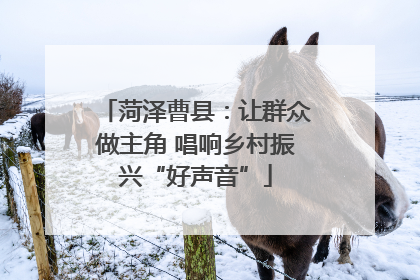 菏泽曹县：让群众做主角 唱响乡村振兴“好声音”
